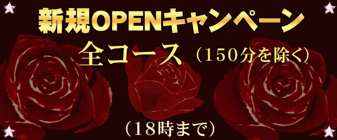 �K�u��@�����N�[�[�V���������Y�G�X�e�uMint�v